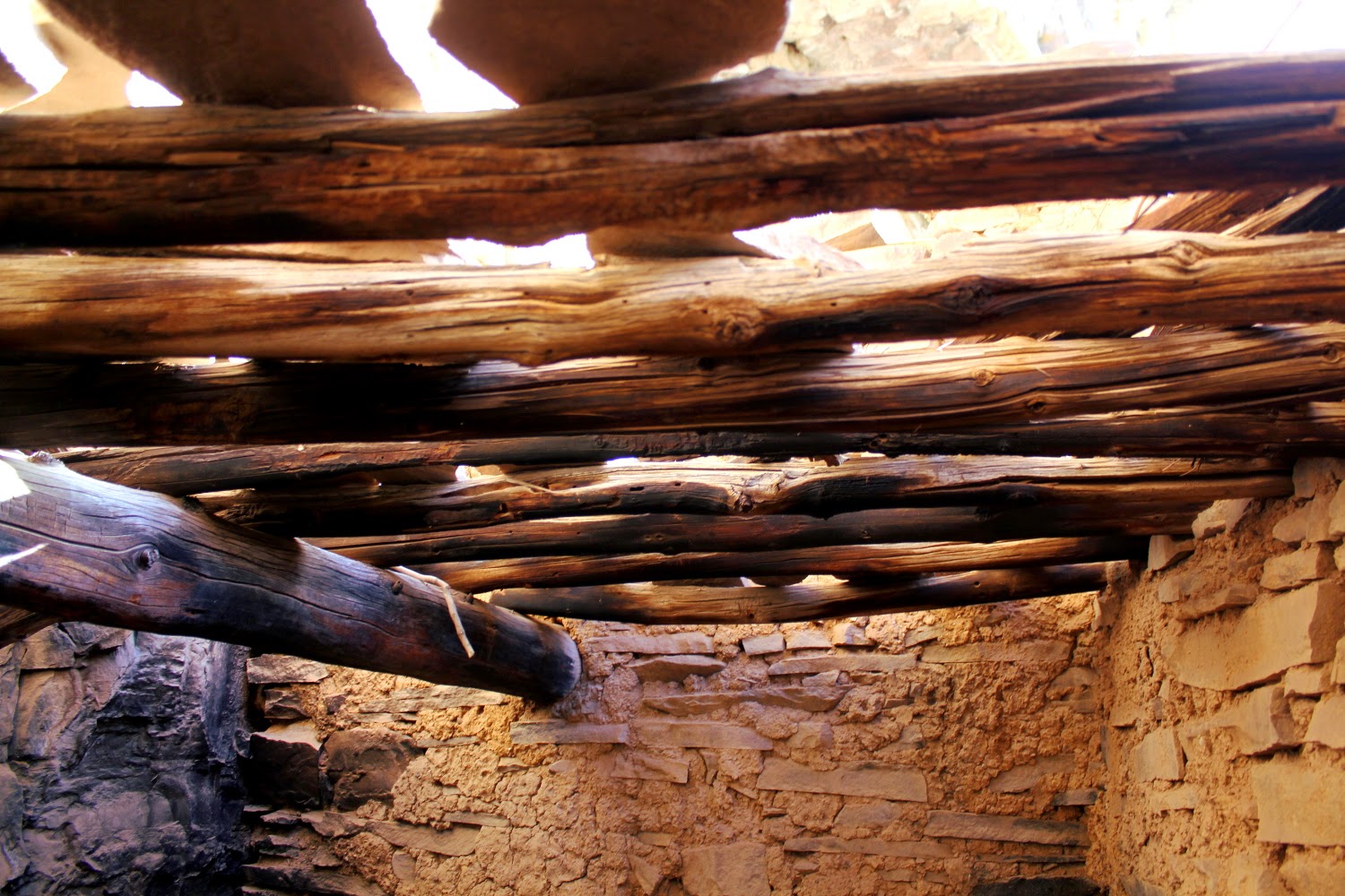 IMG_3742.JPG width=640